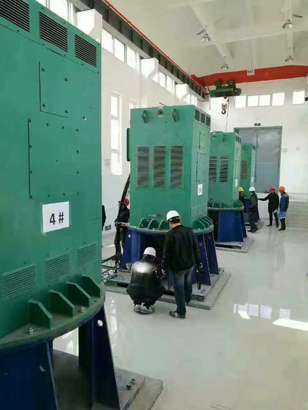东成镇某污水处理厂使用我厂的立式高压电机安装现场
